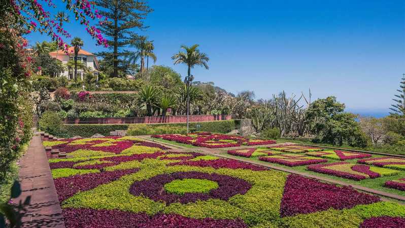 Guided Tuk-Tuk Tour to Botanical Garden (From Funchal) - Key points at a glance