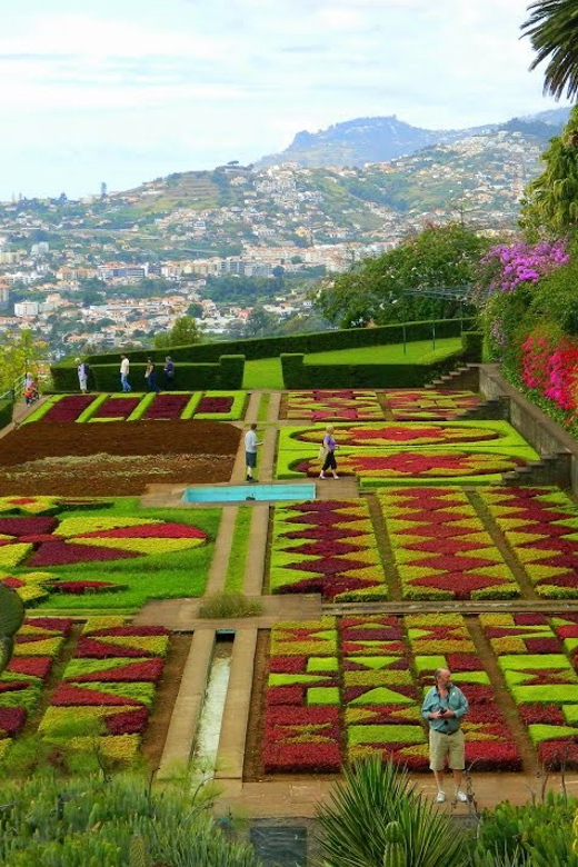 Guided Tuk-Tuk Tour to Botanical Garden (From Funchal) - Through central Funchal and up the hills