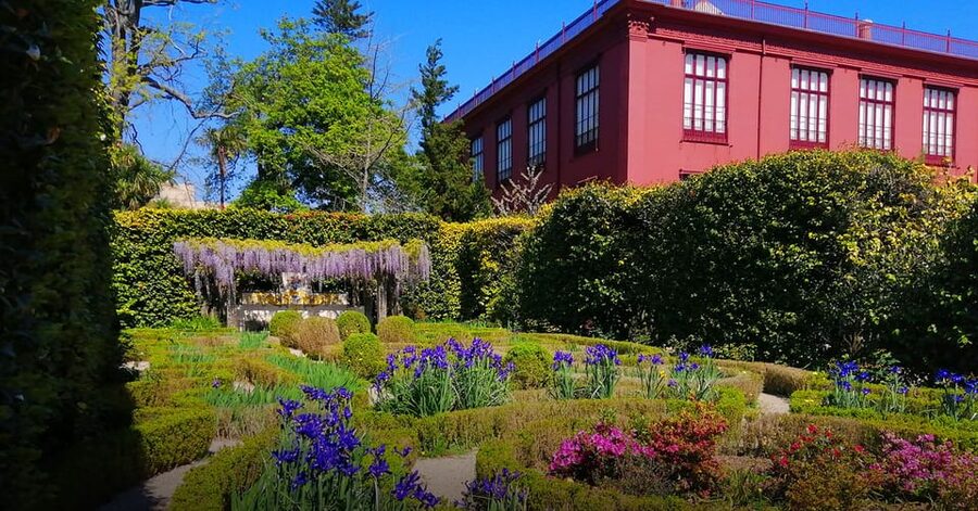 Guided Tuk-Tuk Tour to Botanical Garden (From Funchal) - Why the garden is worth adding to your Funchal day