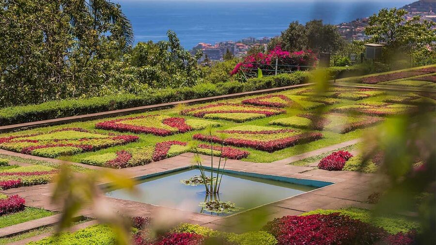 Guided Tuk-Tuk Tour to Botanical Garden (From Funchal) - The view back toward Funchal Bay
