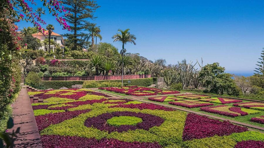 Guided Tuk-Tuk Tour to Botanical Garden (From Funchal) - Starting at Avenida do Mar in Funchal