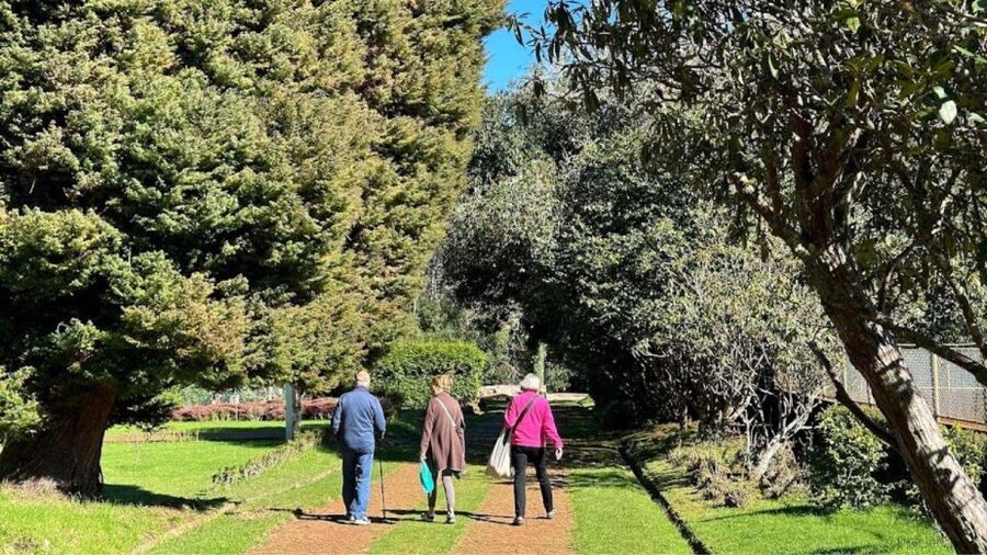 Half-Day Country Market Tour on Madeira Island - Who will enjoy this outing most?