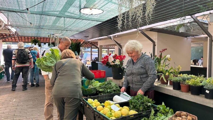 Half-Day Country Market Tour on Madeira Island - Quinta do Santo da Serra brings plants and history into the day