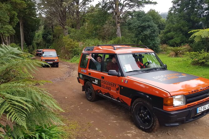 Half Day Jeep Safari Tour at Pico Areeiro and Santo da Serra - Portela adds the jeep-tour element