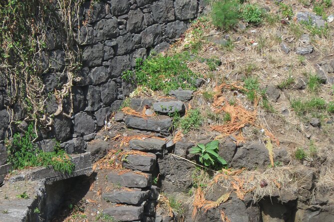 Half day jeep Wine tour and tasting, & sea cliff adventure - Quinta do Barbusano: the main event for wine lovers