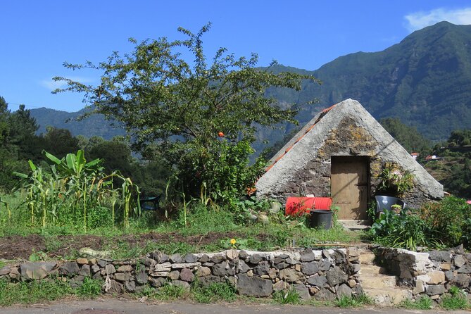 Half day jeep Wine tour and tasting, & sea cliff adventure - What the 4x4 ride is really like