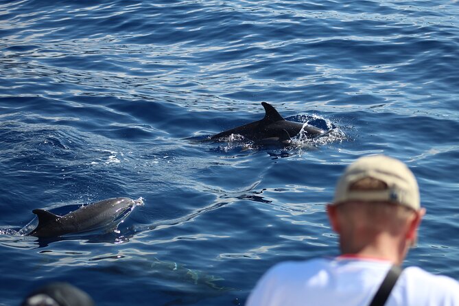 Half Day Madeira Island Cruise with Lunch - What happens after you leave Funchal