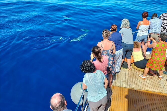 Half Day Madeira Island Cruise with Lunch - Calhau da Lapa brings a welcome swim