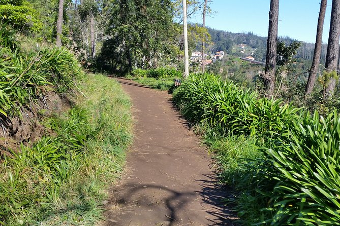Half-Day Paradise Valley Walking Tour - Key points to know before you book