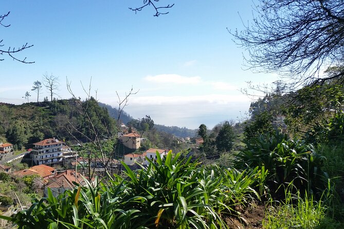 Half-Day Paradise Valley Walking Tour - Camacha views and a closer look at Madeira’s countryside