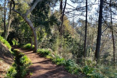 Half-Day Paradise Valley Walking Tour