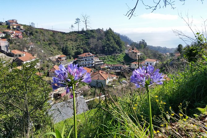 Half-Day Paradise Valley Walking Tour - How the two-hour length affects the value