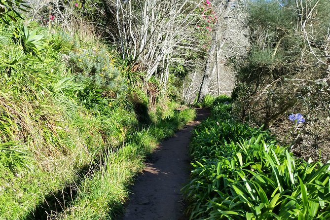 Half-Day Paradise Valley Walking Tour - Ending at Rochão instead of returning to the start
