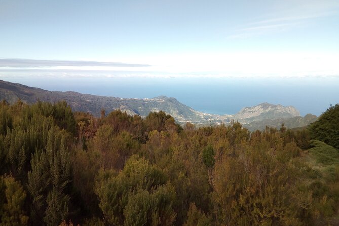 Half-Day Private Sidecar Tour on Madeira’s West Coast - What the Ride Feels Like in Practice