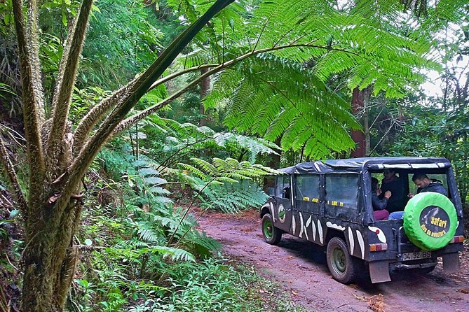 Half-Day Small-Group Madeira Village Safari from Funchal - Key points to know before booking