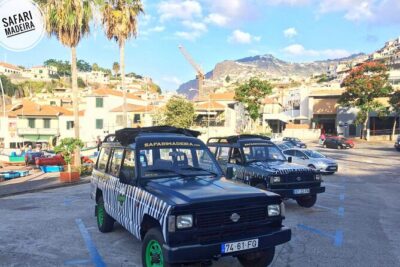 Half-Day Small-Group Madeira Village Safari from Funchal