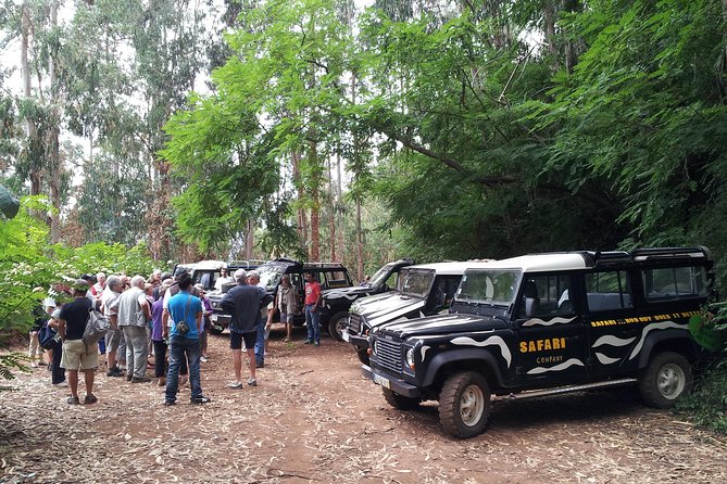 Half-Day Small-Group Madeira Village Safari from Funchal - Comfort, weather, and the open-top vehicle