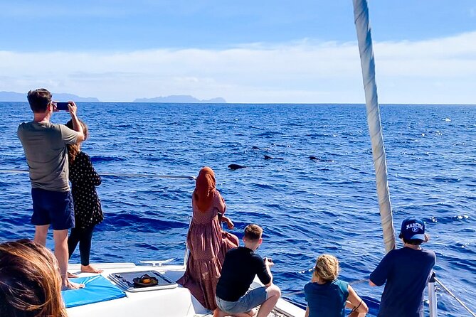 Half Day Tour on a Luxury Catamaran on Madeira Island - The swim stop and snorkeling gear