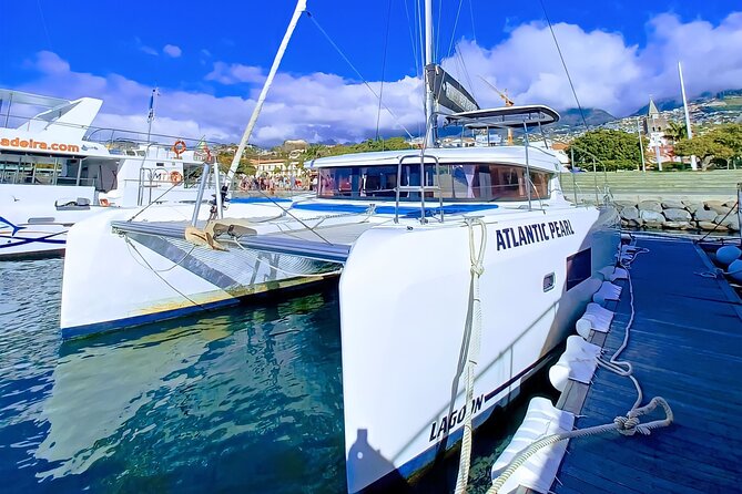 Half Day Tour on a Luxury Catamaran on Madeira Island - Searching for dolphins, whales, and turtles