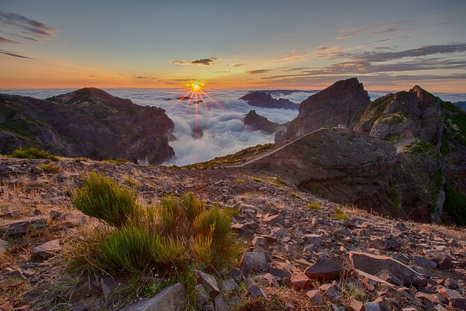 Heavens Tour: Sunset & Stargazing in Madeira - How the price compares with the experience