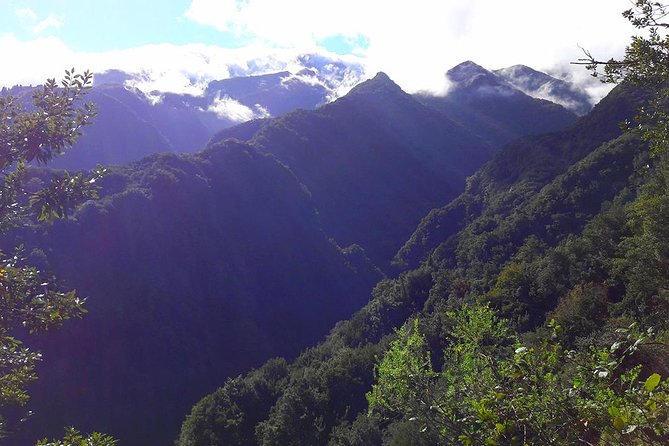 Hidden Corners: Levada Walk from Funchal - Why this levada walk feels different from Funchal