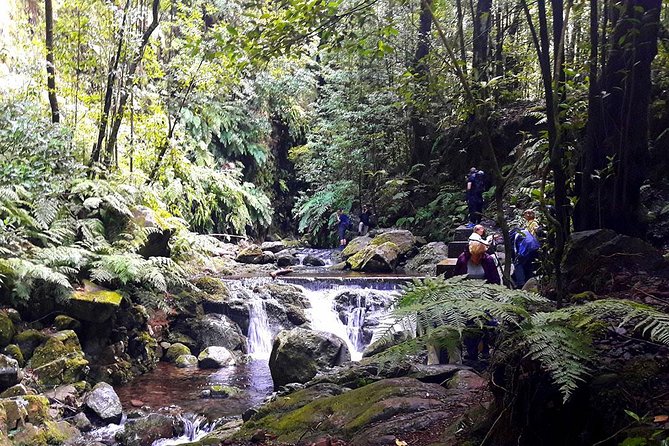 Hidden Corners: Levada Walk from Funchal - Walking Levada do Rei through São Jorge Valley