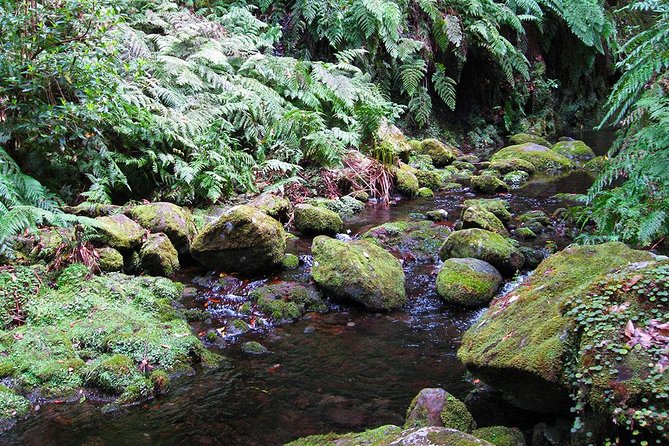 Hidden Corners: Levada Walk from Funchal - What to pack for an eight-hour outdoor day