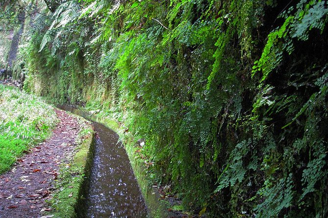 Hidden Corners: Levada Walk from Funchal - Is the $51.61 price good value?