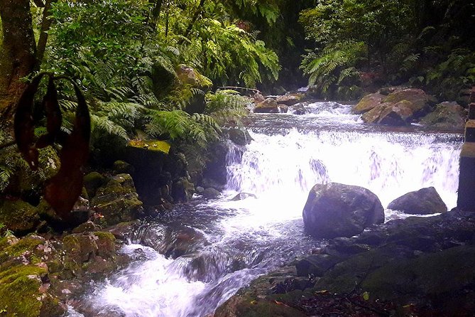 Hidden Corners: Levada Walk from Funchal - Who should book this walk