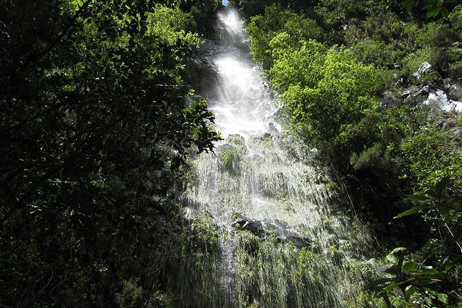 Hidden Corners: Levada Walk from Funchal - The morning pickup from Funchal