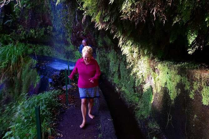 Hike in Laurisilva Levada do Rei - Madre of Life small Group guided walk - Key points at a glance