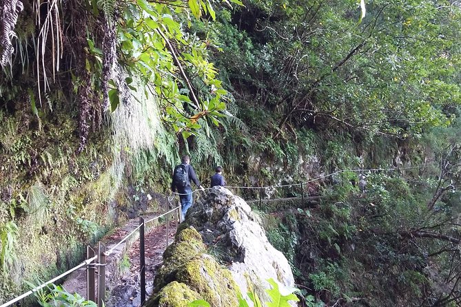 Hike in Laurisilva Levada do Rei - Madre of Life small Group guided walk - Small-group guiding with David and the local team