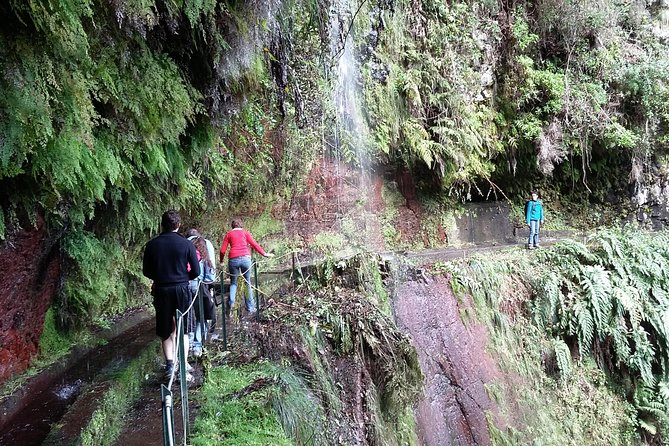 Hike in Laurisilva Levada do Rei - Madre of Life small Group guided walk - Is $60.08 a fair price?