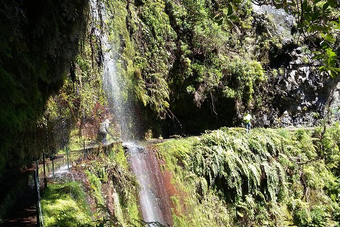 Hike in Laurisilva Levada do Rei - Madre of Life small Group guided walk - Who will enjoy this walk most