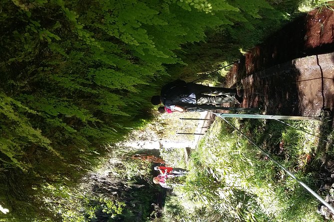 Hike in Laurisilva Levada do Rei - Madre of Life small Group guided walk - What to bring and what to check
