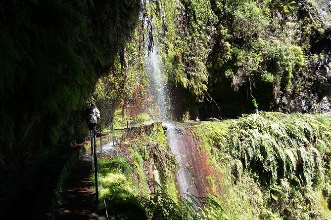 Hike in Laurisilva Levada do Rei - Madre of Life small Group guided walk - Following the Levada do Rei for four hours