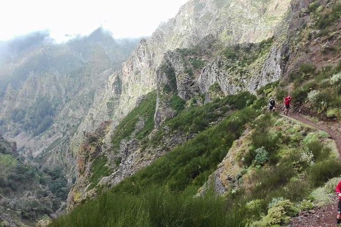 Hike Larano, Boca do Risco Porto da Cruz Levada in a small group - Following the old Vereda do Larano trail