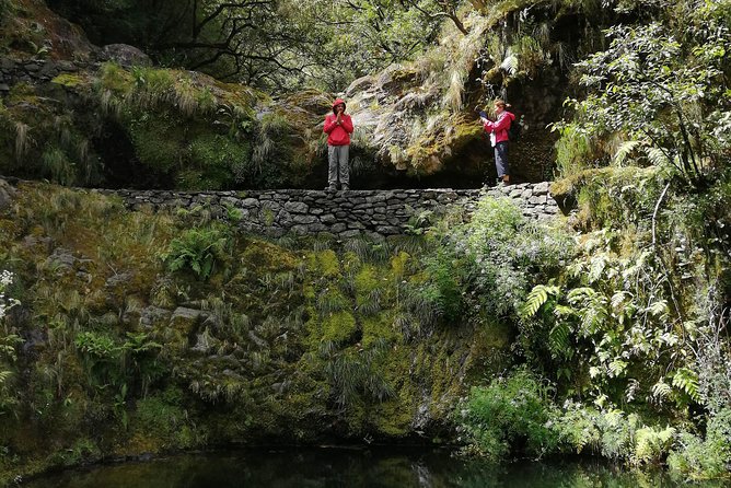 Hiking and Trekking tours in Madeira - A friendly group experience, not a rushed procession