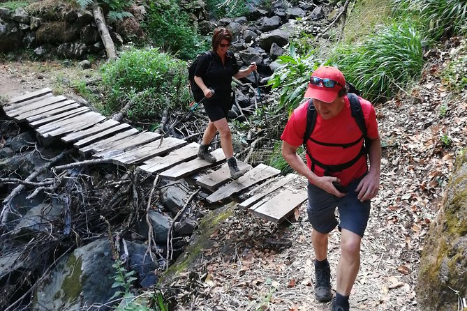 Hiking and Trekking tours in Madeira - What the price of $120.02 covers