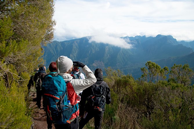 Hiking and Trekking tours in Madeira - Starting from Funchal at 9:00 a.m.