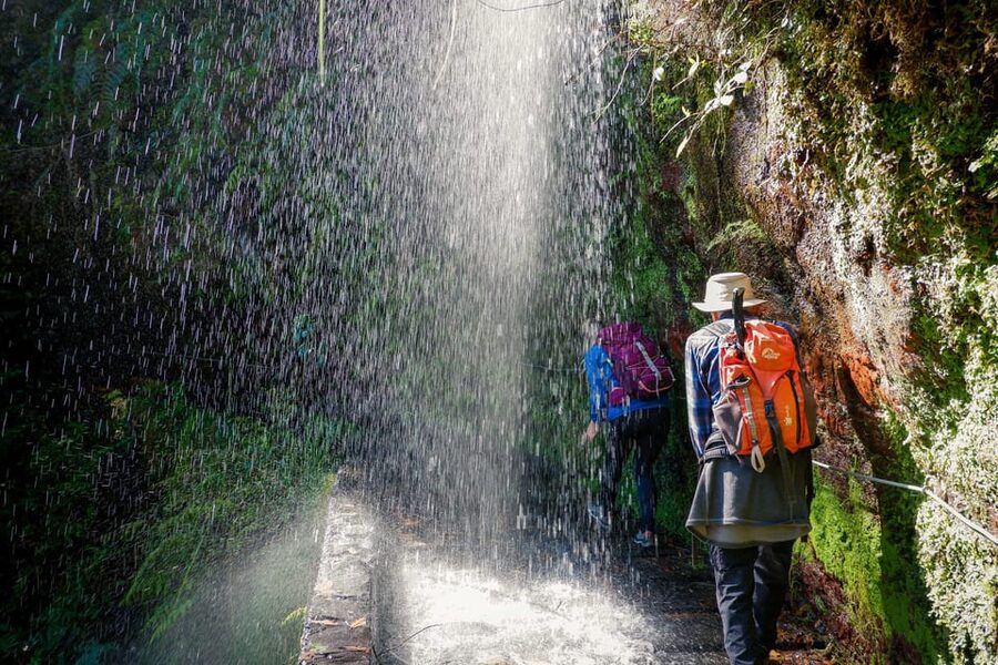Hiking Madeira: Levada do Rei and the Majestic Laurissilva - Starting in São Jorge, far from Funchal’s hotel strip