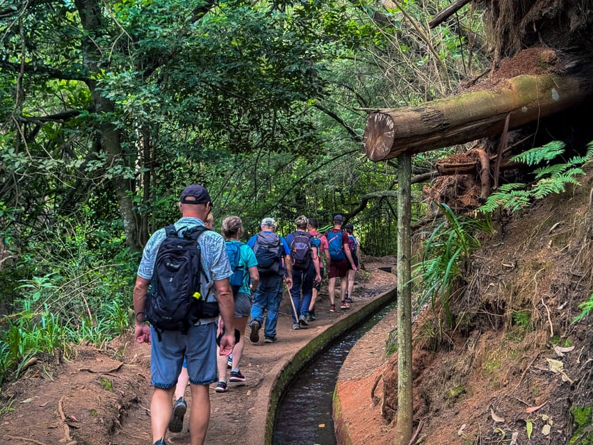Hiking Madeira: Levada do Rei and the Majestic Laurissilva - What the $54 price really covers