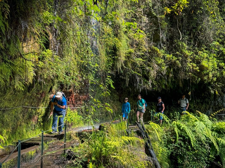 Hiking Madeira: Levada do Rei and the Majestic Laurissilva - Who will enjoy this walk most