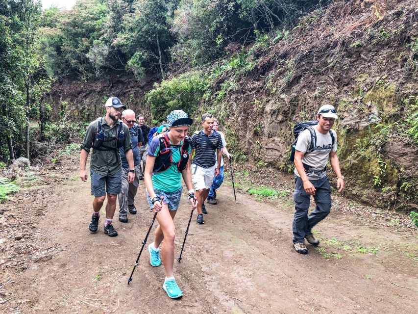 Hiking Trip with a Local - A private Madeira walk built around your day