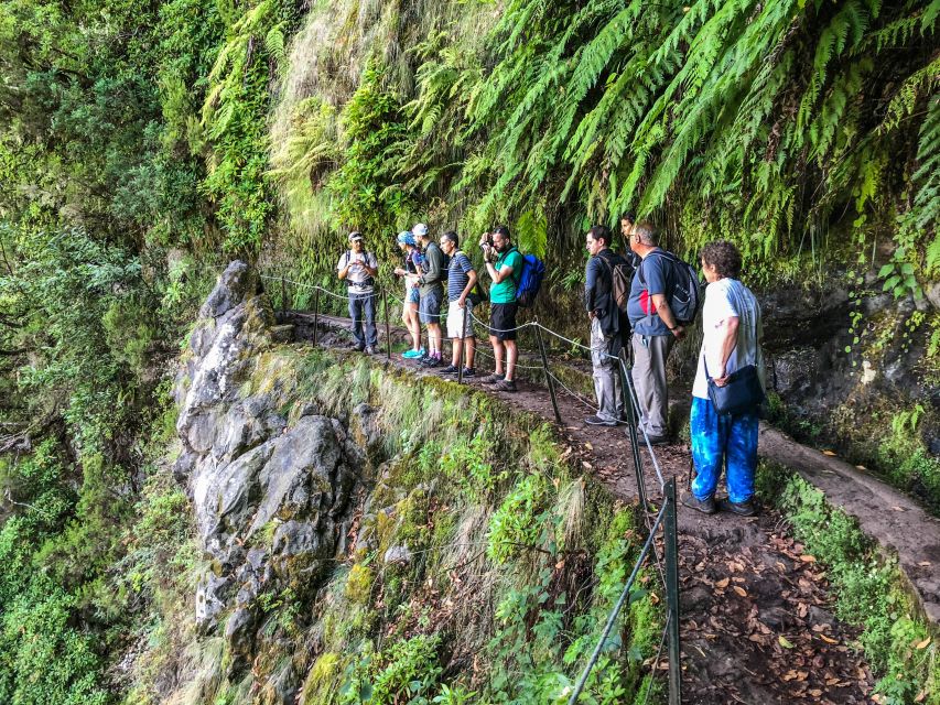 Hiking Trip with a Local - What the guide adds to the walk