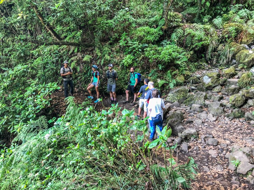 Hiking Trip with a Local - Should you book this Madeira hiking trip?