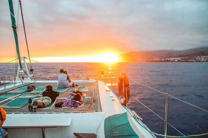 Hop-on Hop-off Bus Tour and Catamaran Whale & Dolphin Watching - Key points to know before booking