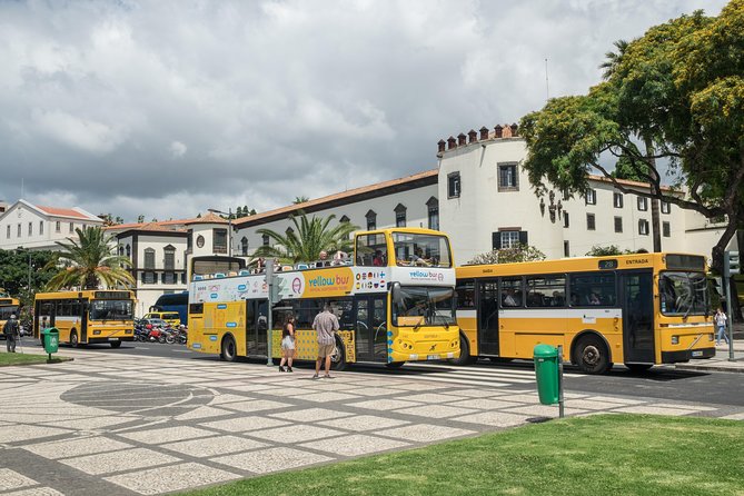 Hop-on Hop-off Bus Tour and Catamaran Whale & Dolphin Watching - The Lido and Madeira’s western waterfront