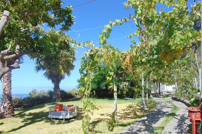 Incredible tour to a 'Faja' with a story - Who will enjoy this farm visit most