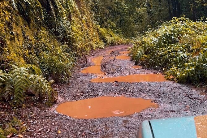 Jeep Safari 4x4 Madeira Pico areeiro, Santana, Ponta Sao Lourenço - Off-road Madeira shows why the 4x4 matters